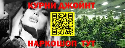 ешки Кингисепп
