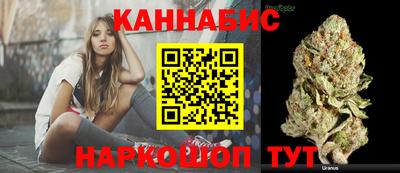 ешки Кингисепп