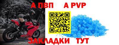 ешки Кингисепп