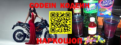 ешки Кингисепп